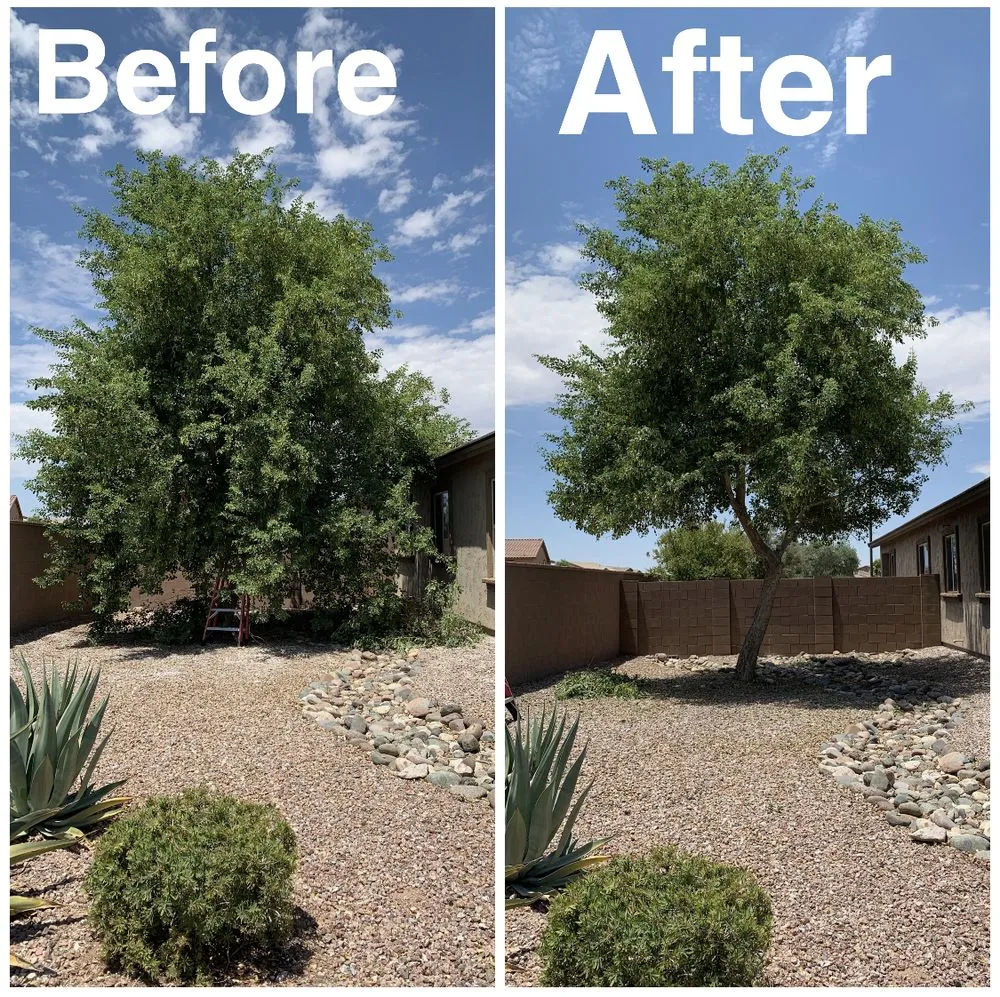 Reliable lawn mowing service in Phoenix, AZ by Best Choice Landscaping