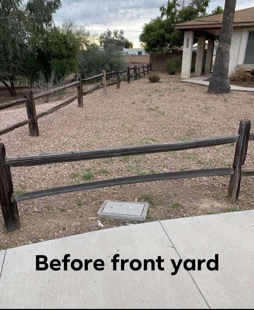 Professional landscape design for beautiful yards in Phoenix, AZ by Best Choice Landscaping