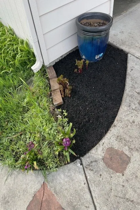 Affordable residential landscaping in Champaign, IL by Best Choice Landscaping Services