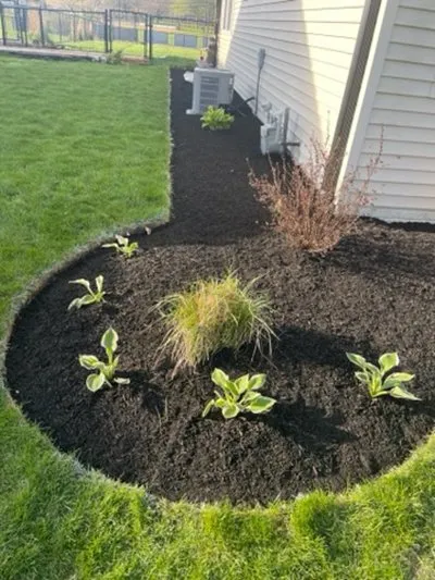 Trusted yard cleanup service for residential properties in Champaign, IL by Best Choice Landscaping Services