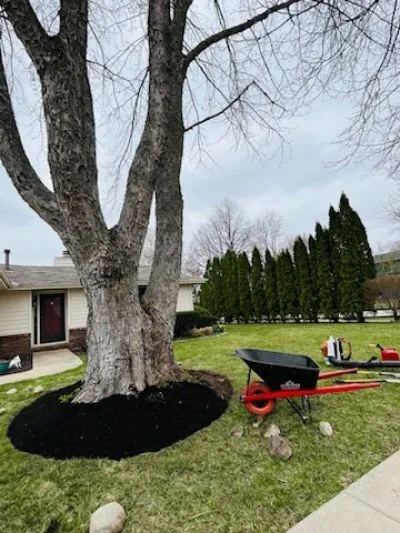 Expert landscaping services experts serving Champaign, IL - Best Choice Landscaping Services