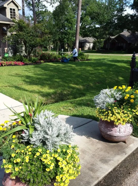Trusted yard cleanup service in Jersey Village, TX - Best Choice Lawn Aeration