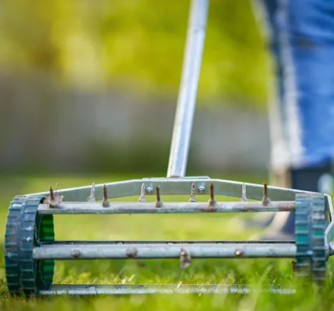 Expert landscape installation in Jersey Village, TX - Best Choice Lawn Aeration