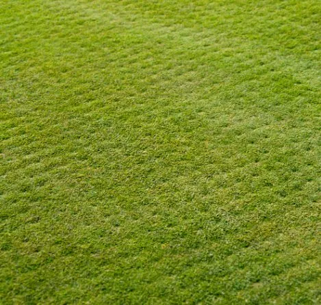 Trusted landscaping services in Jersey Village, TX by Best Choice Lawn Aeration