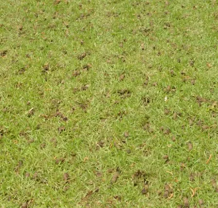 Custom yard maintenance in Jersey Village, TX by Best Choice Lawn Aeration