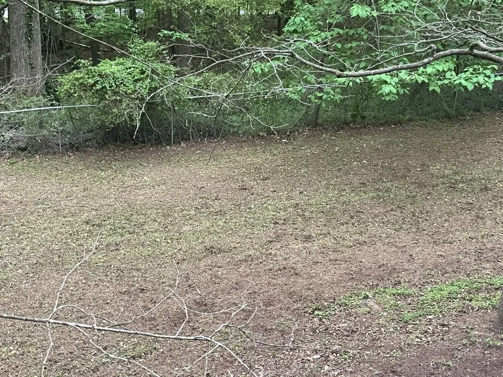 Trusted landscape installation experts serving Conyers, GA - Best Choice Lawn Care