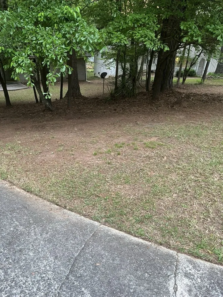 Trusted landscape installation in Conyers, GA by Best Choice Lawn Care