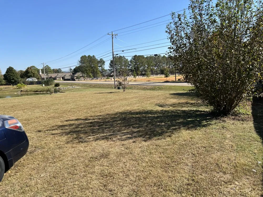 Affordable landscaping services in Conyers, GA by Best Choice Lawn Care