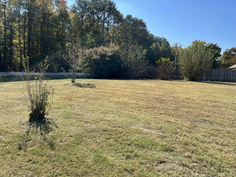 Expert landscape design for homes in Conyers, GA by Best Choice Lawn Care