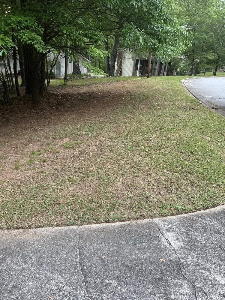 Custom outdoor landscaping near you across Conyers, GA - Best Choice Lawn Care