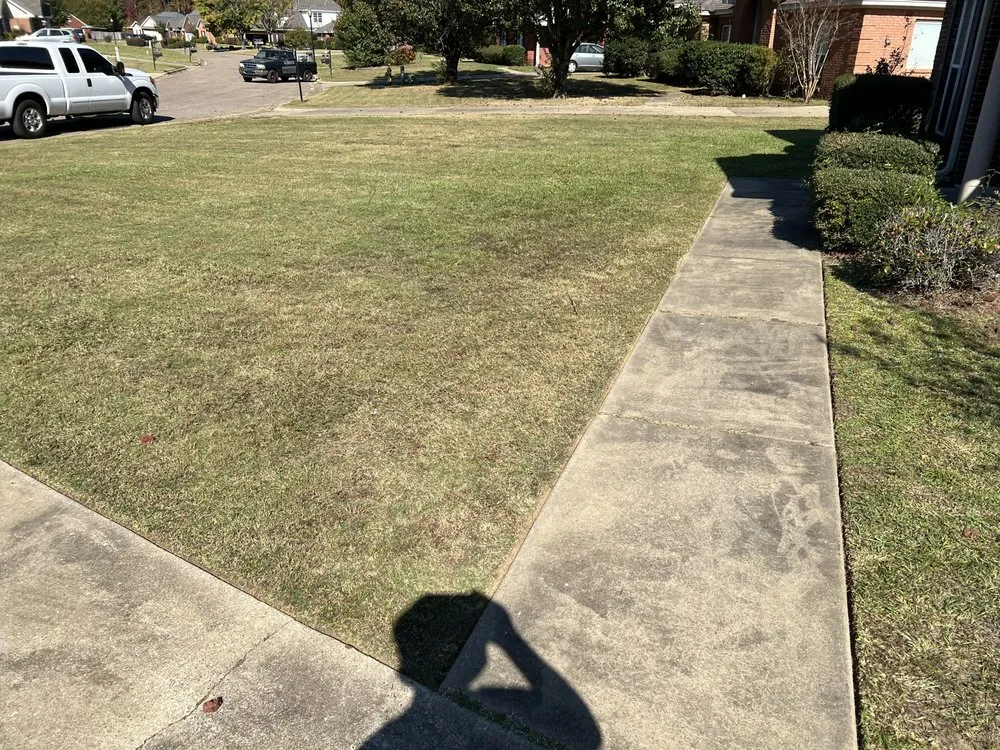 Affordable outdoor landscaping near you across Conyers, GA - Best Choice Lawn Care