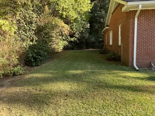 Best Choice Lawn Care Logo