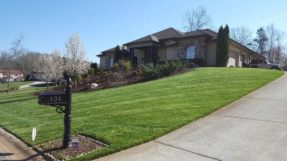 Professional yard cleanup service in Murrayville, GA by Best Choice Lawn Care