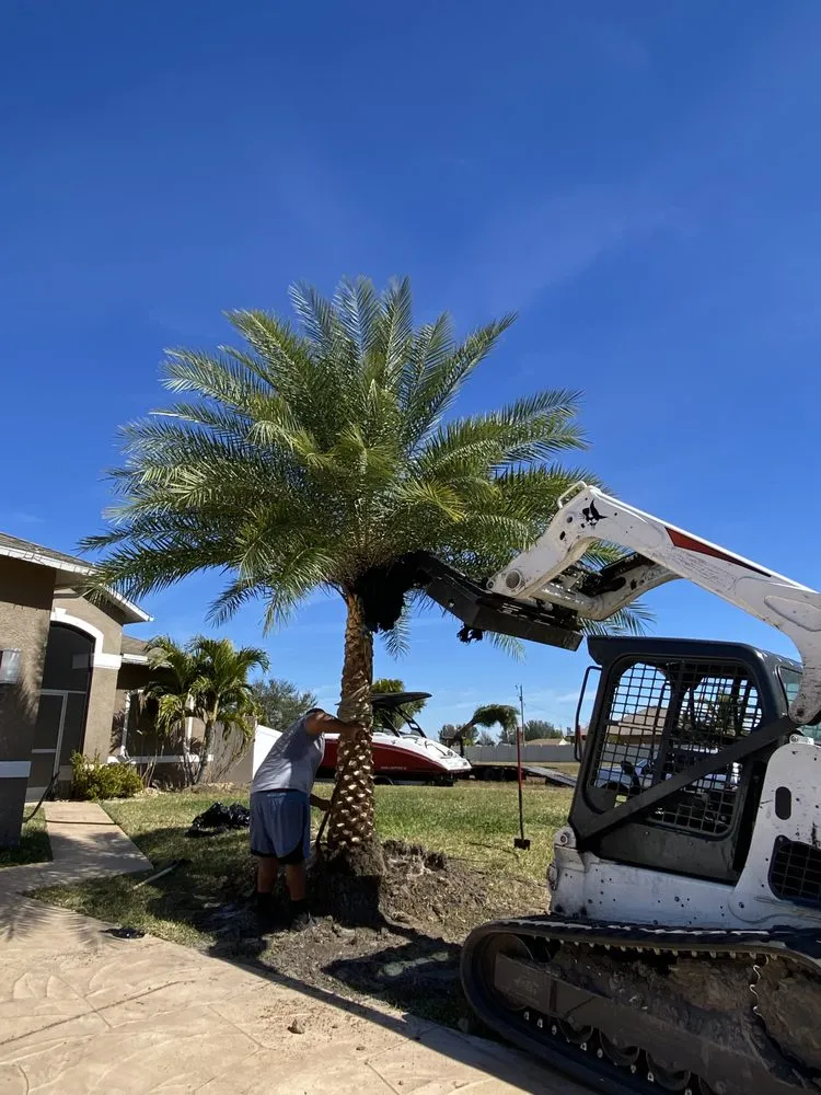 Expert residential landscaping in Bokeelia, FL - Best Choice Nursery & Landscaping