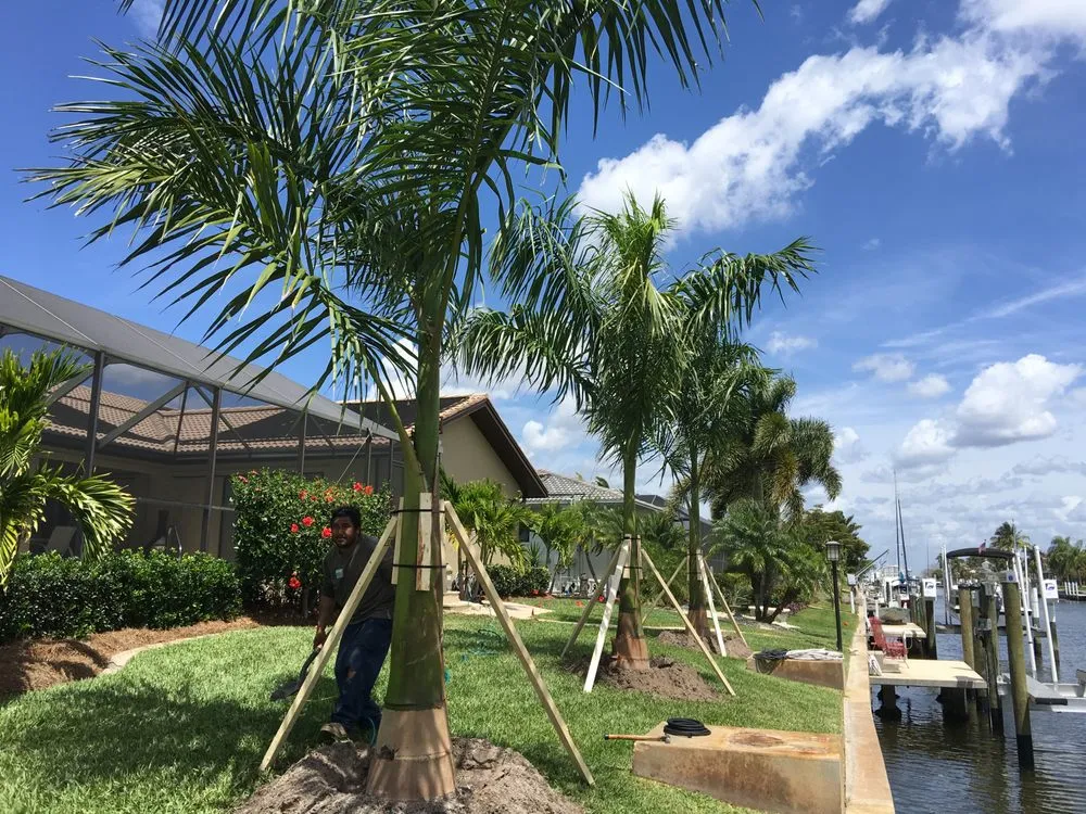 Reliable yard cleanup service in Bokeelia, FL - Best Choice Nursery & Landscaping