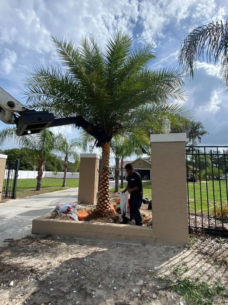 Top-rated lawn care service for year-round maintenance in Bokeelia, FL by Best Choice Nursery & Landscaping