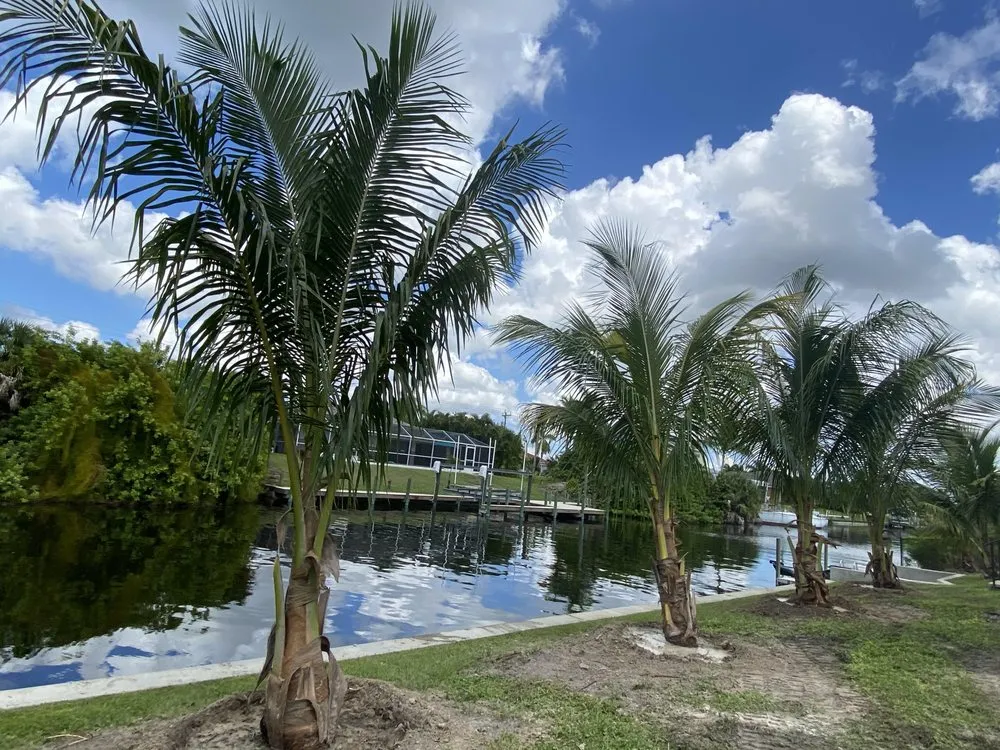 Custom lawn care service near you in Bokeelia, FL by Best Choice Nursery & Landscaping