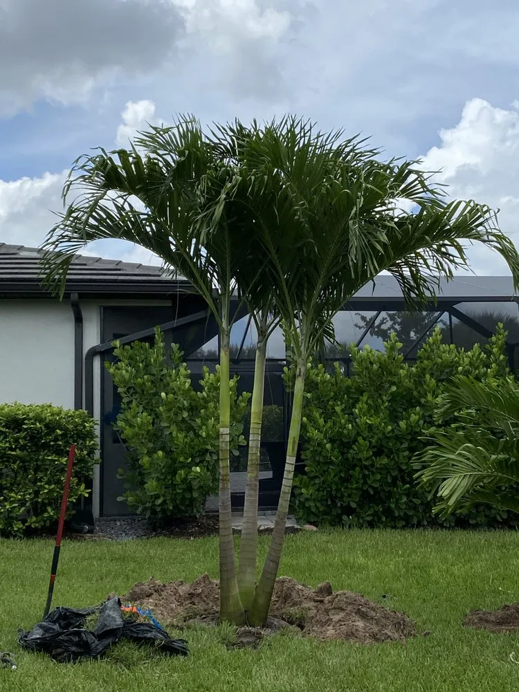 Affordable outdoor landscaping for outdoor upgrades across Bokeelia, FL - Best Choice Nursery & Landscaping