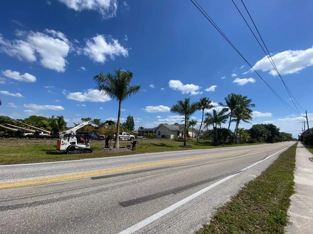 Trusted yard cleanup service with custom design in Bokeelia, FL by Best Choice Nursery & Landscaping