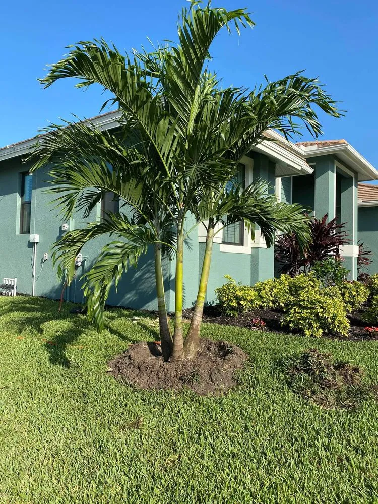 Trusted landscaping services for outdoor upgrades in Bokeelia, FL by Best Choice Nursery & Landscaping