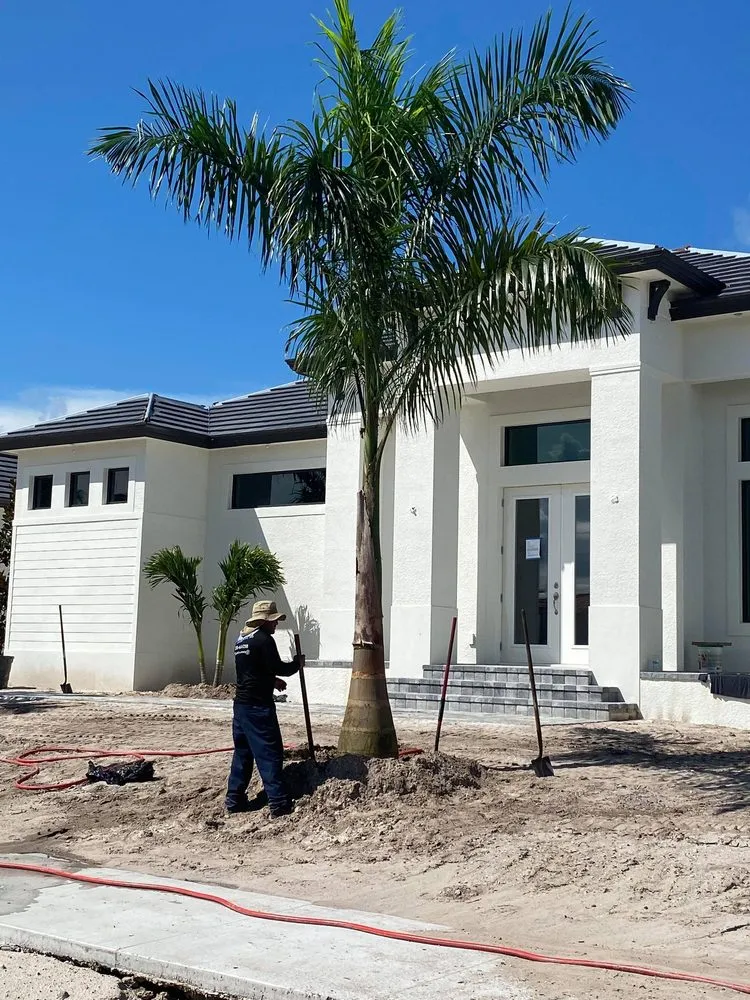 Expert yard cleanup service experts serving Bokeelia, FL - Best Choice Nursery & Landscaping