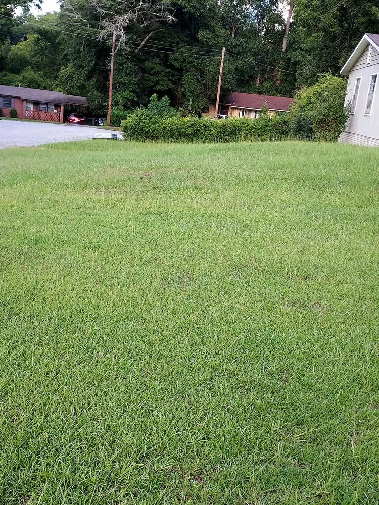 Affordable outdoor landscaping in Columbus, GA - Best Concrete & Landscaping