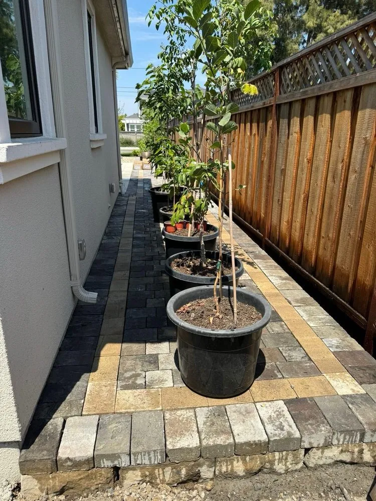 Trusted lawn mowing service for homes in Pinole, CA by Best Construction