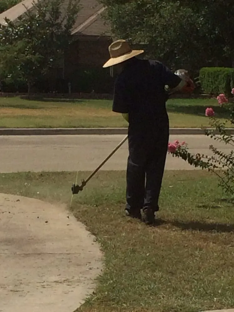 Local lawn care service in Killeen, TX - Best Cut Lawn Care