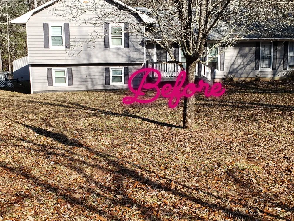 Local outdoor landscaping in Newnan, GA - Best Cut Lawn Service