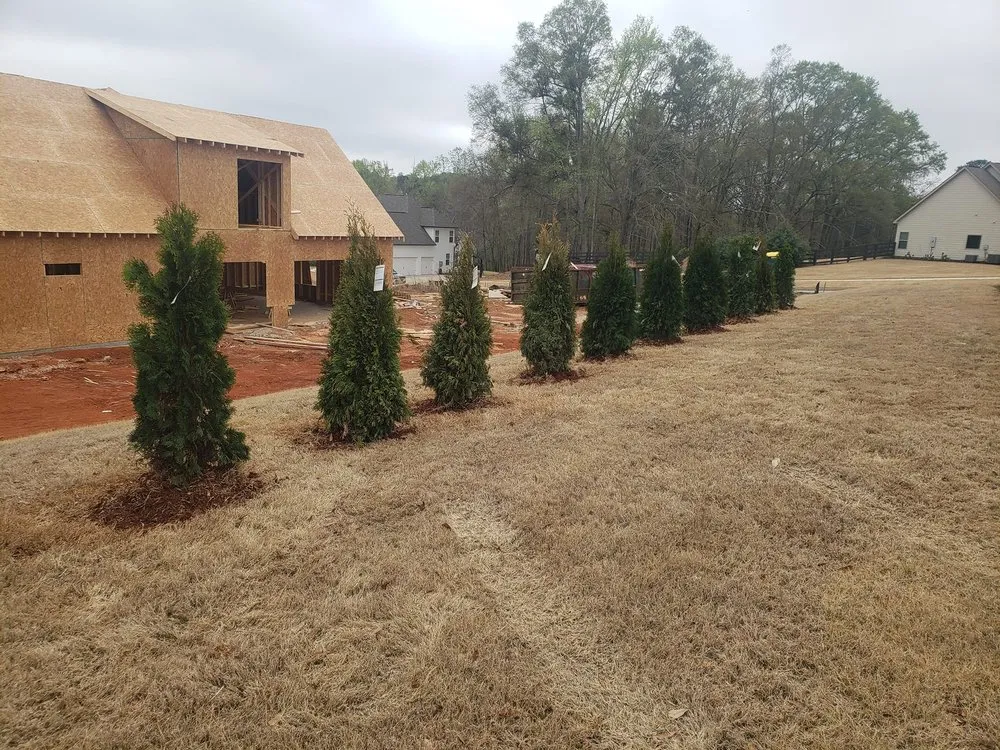 Expert yard maintenance for beautiful yards across Newnan, GA - Best Cut Lawn Service