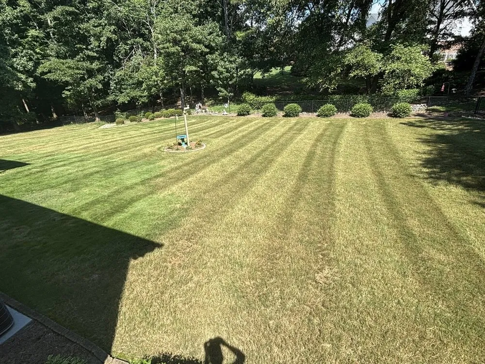 Local outdoor landscaping experts serving Newnan, GA - Best Cut Lawn Service