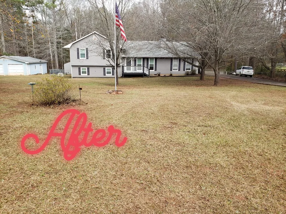 Custom landscaping services for beautiful yards across Newnan, GA - Best Cut Lawn Service