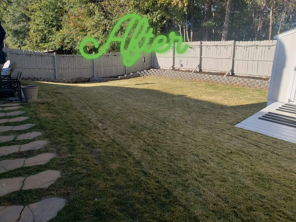 Reliable yard maintenance experts serving Newnan, GA - Best Cut Lawn Service