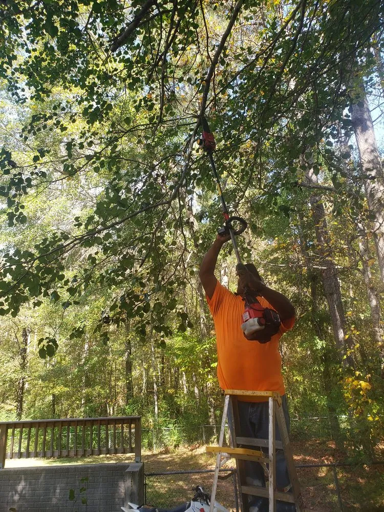 Expert lawn care service for residential properties across Newnan, GA - Best Cut Lawn Service