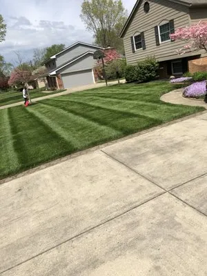 Best Cut Lawns And Landscaping Logo
