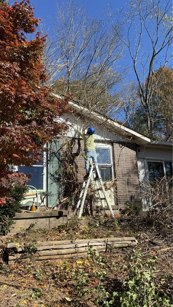 Trusted lawn care service experts serving Culpeper, VA - Best Cut Tree Service And Landscaping