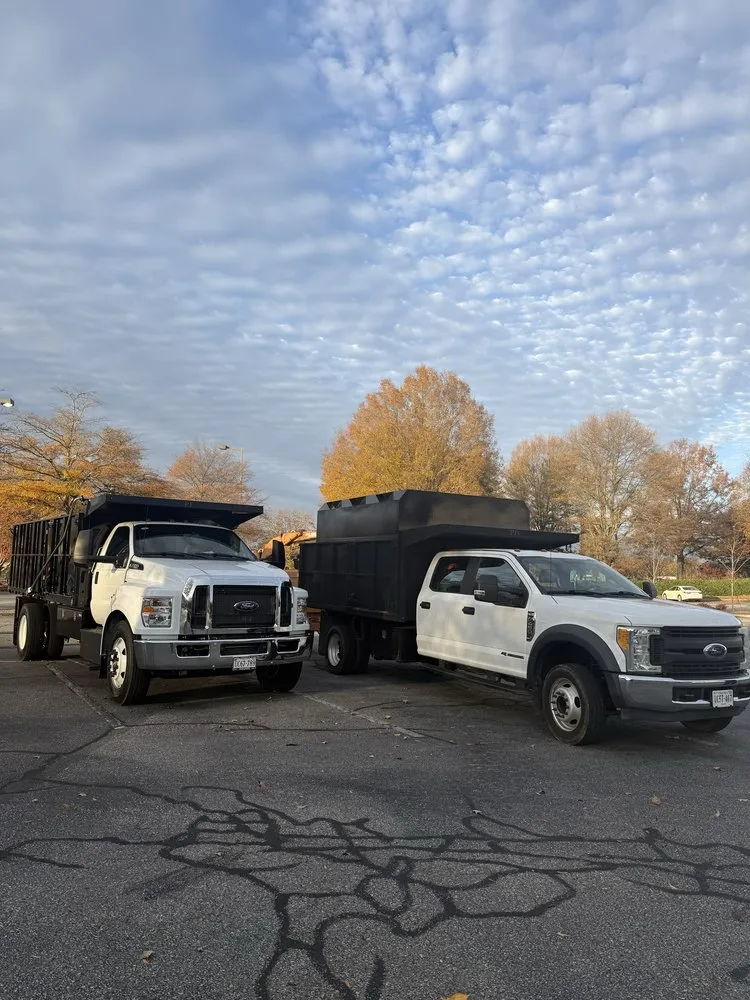 Expert yard cleanup service in Culpeper, VA by Best Cut Tree Service And Landscaping