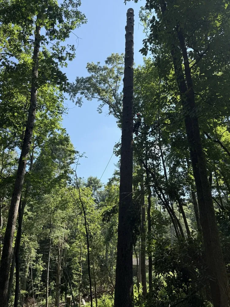 Top-rated lawn mowing service near you across Culpeper, VA - Best Cut Tree Service And Landscaping