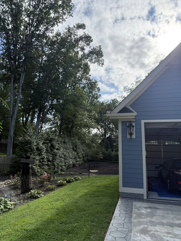 Professional landscaping services in Culpeper, VA by Best Cut Tree Service And Landscaping