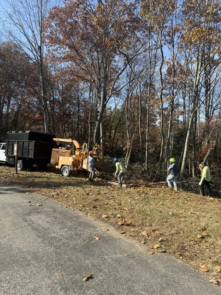 Reliable lawn mowing service in Culpeper, VA by Best Cut Tree Service And Landscaping