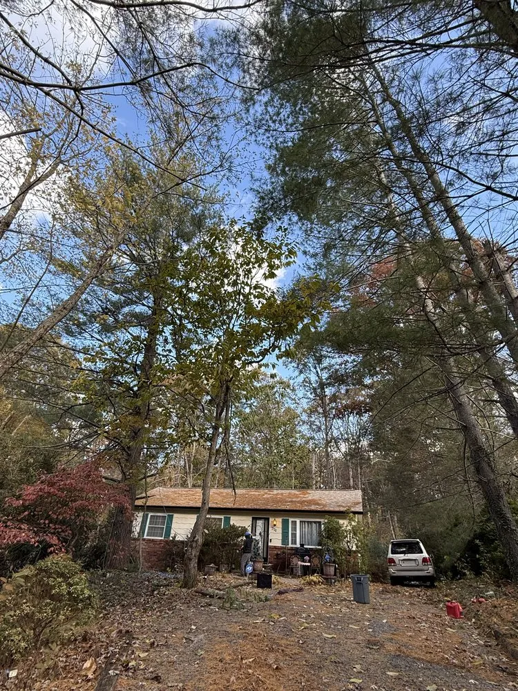 Reliable lawn mowing service in Culpeper, VA by Best Cut Tree Service And Landscaping