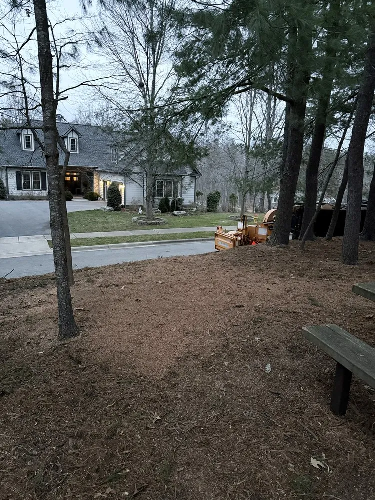 Affordable garden landscaping for residential properties in Culpeper, VA by Best Cut Tree Service And Landscaping