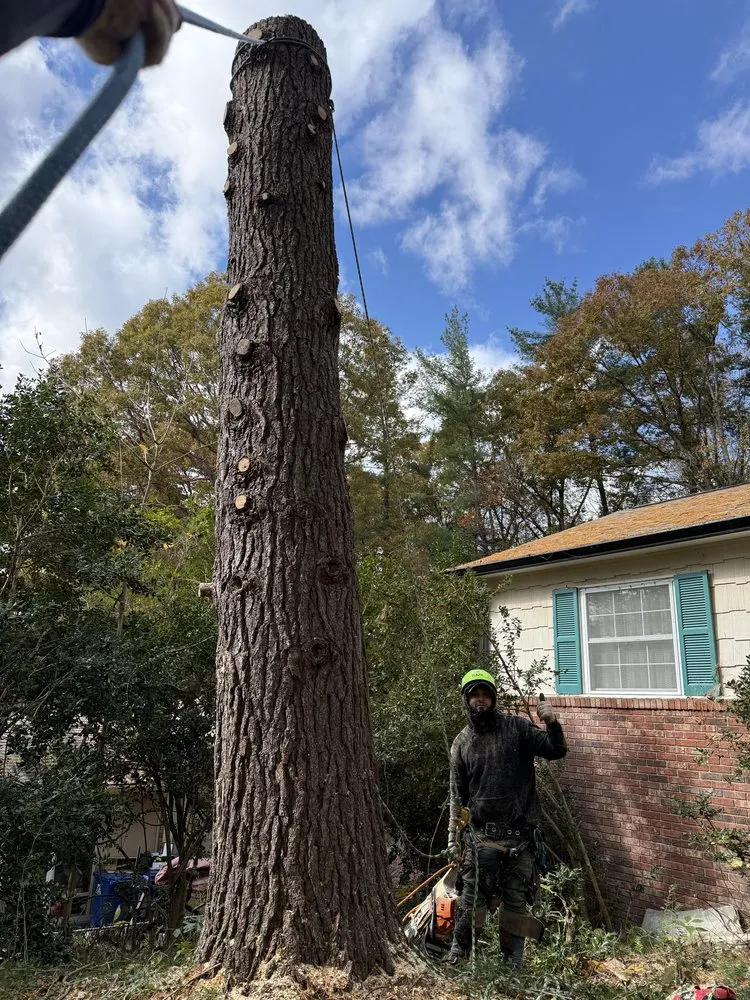 Custom landscape installation in Culpeper, VA - Best Cut Tree Service And Landscaping
