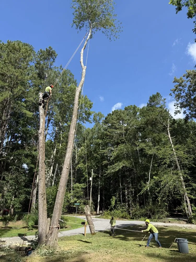 Local yard cleanup service in Culpeper, VA - Best Cut Tree Service And Landscaping
