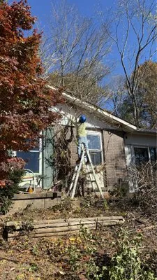 Best Cut Tree Service And Landscaping Logo