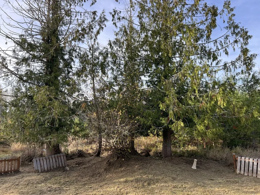 Affordable landscaping services in Kelso, WA by Best Cuts Lawn Care