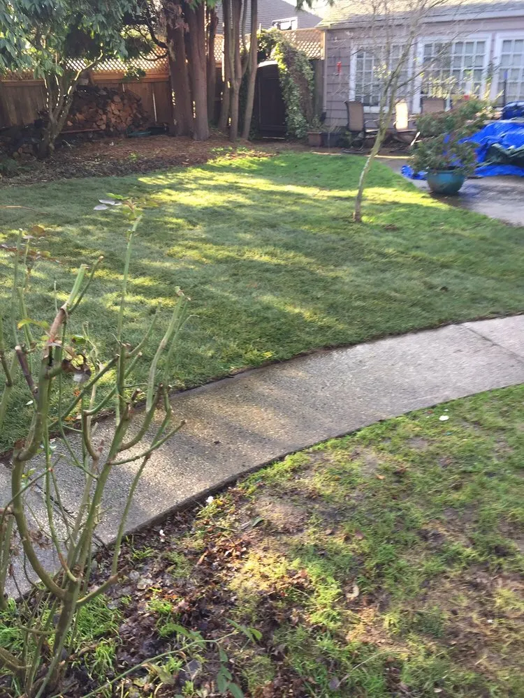 Top-rated landscaping services for year-round maintenance across Kelso, WA - Best Cuts Lawn Care