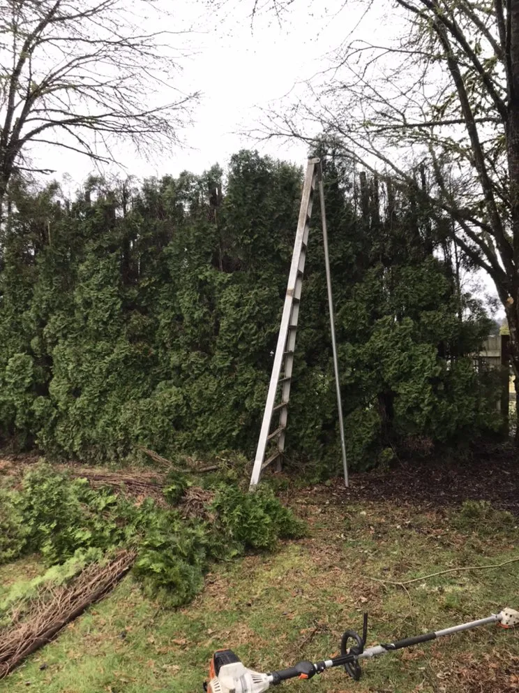 Custom lawn care service experts serving Kelso, WA - Best Cuts Lawn Care