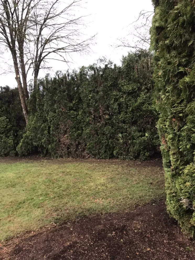 Expert landscape design for residential properties across Kelso, WA - Best Cuts Lawn Care