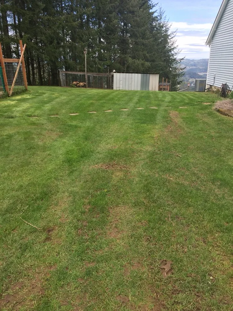 Top-rated garden landscaping in Kelso, WA by Best Cuts Lawn Care